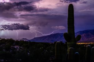 Arizona Monsoon Season